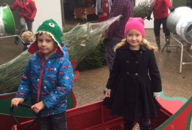 Renting a Christmas Tree from Primrose Vale