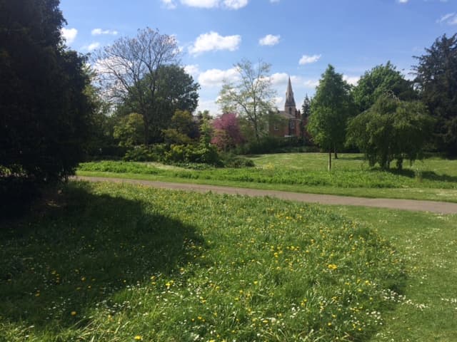 Sandford Park