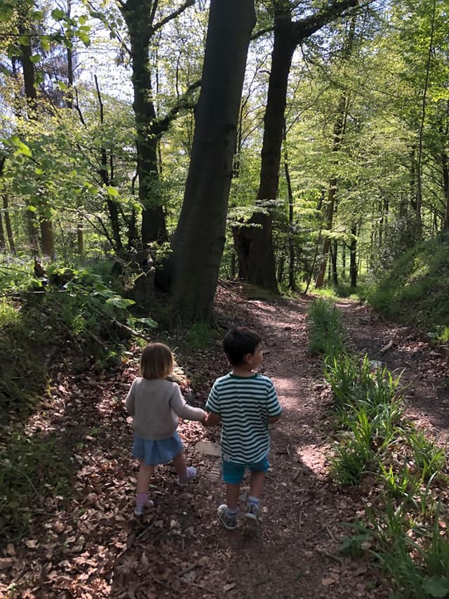 Nutterswood Walk, Southam