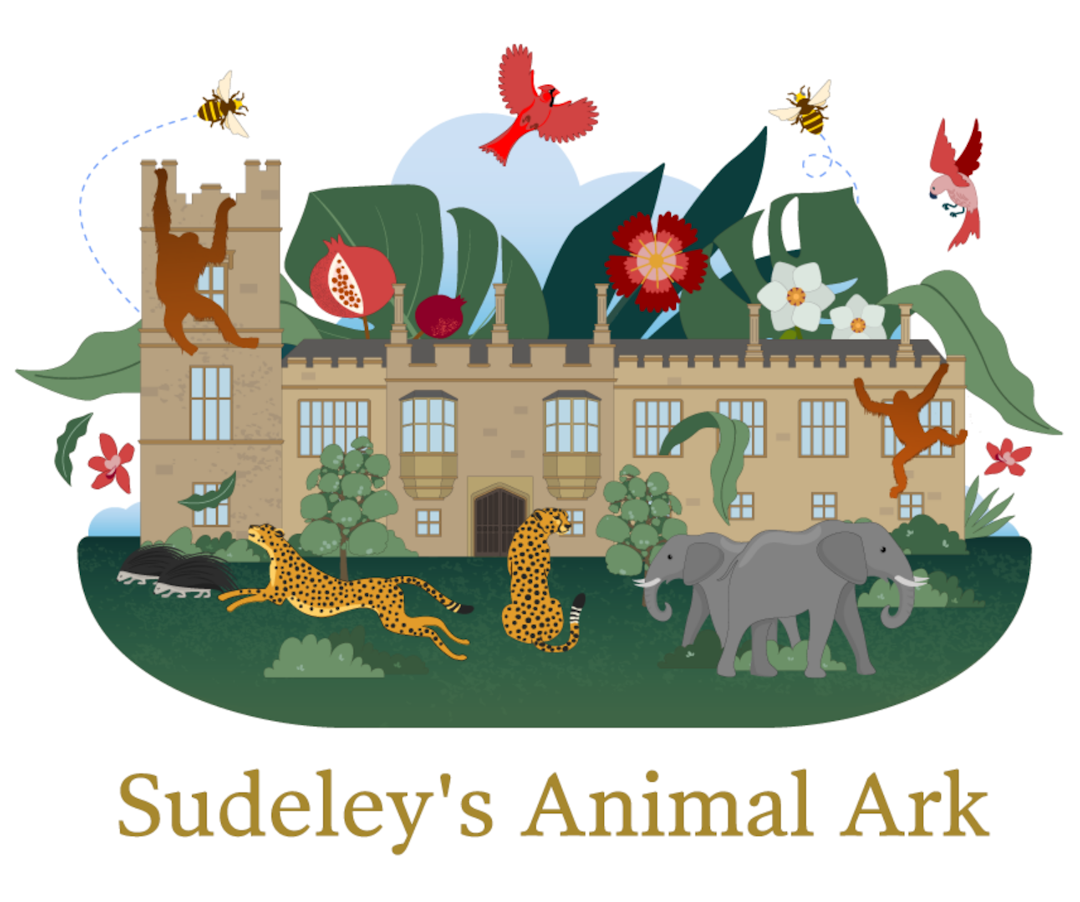 Sudeley Castle & Gardens - image 1