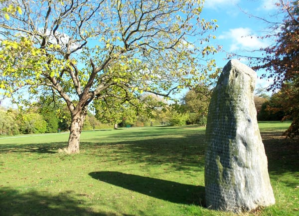 Hester's Way Litter Picks