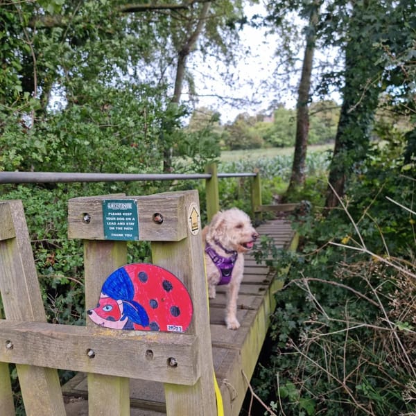Gotherington Hedgehog Trail