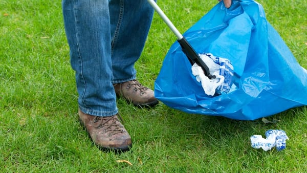 Friends of Elmfield Litter Pick