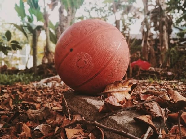 Free basketball sessions