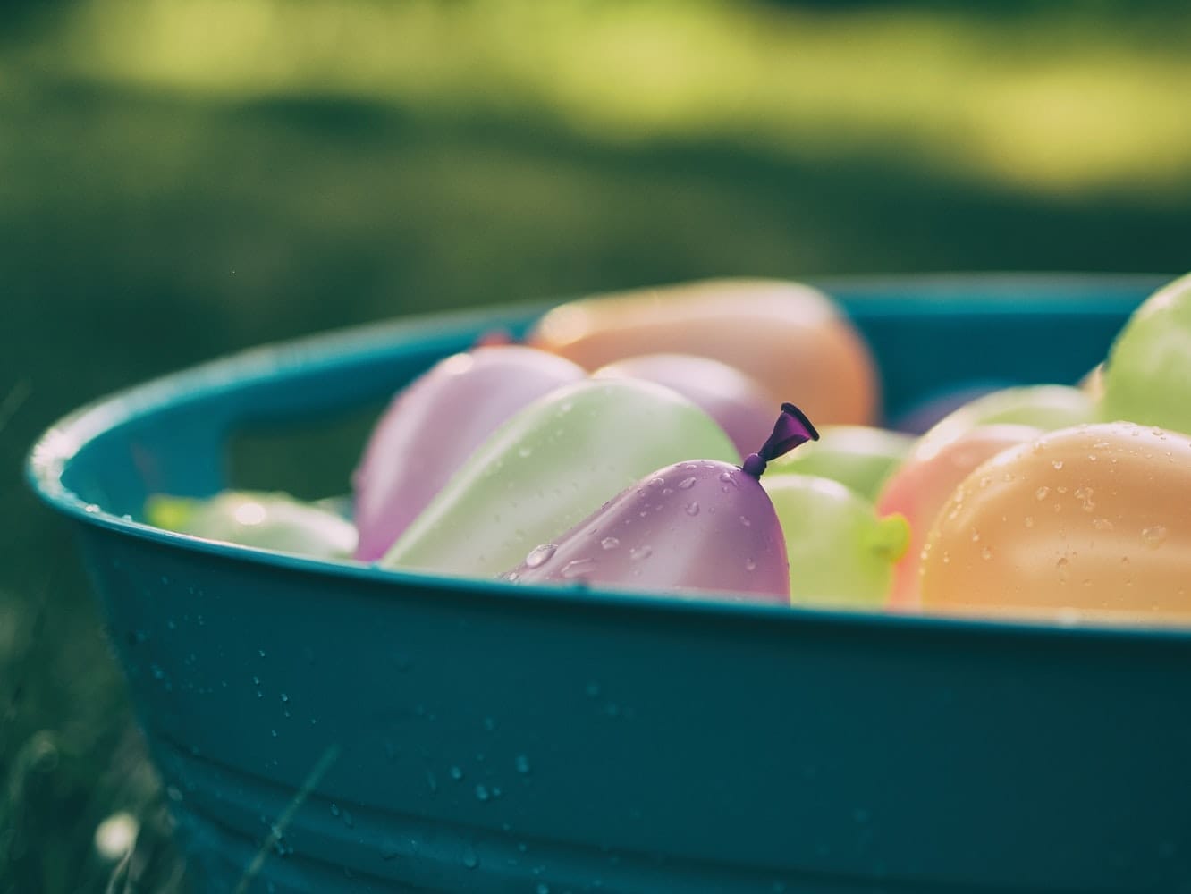 Summer Holiday Highlights: Summer Holiday Fun in Cheltenham