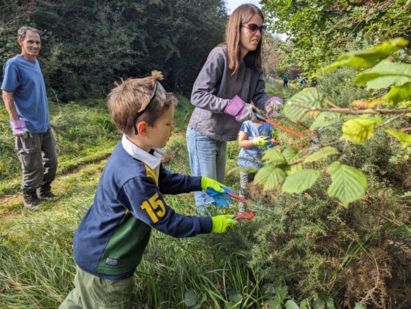 Family Fun Friday - Be a Ranger for the Day