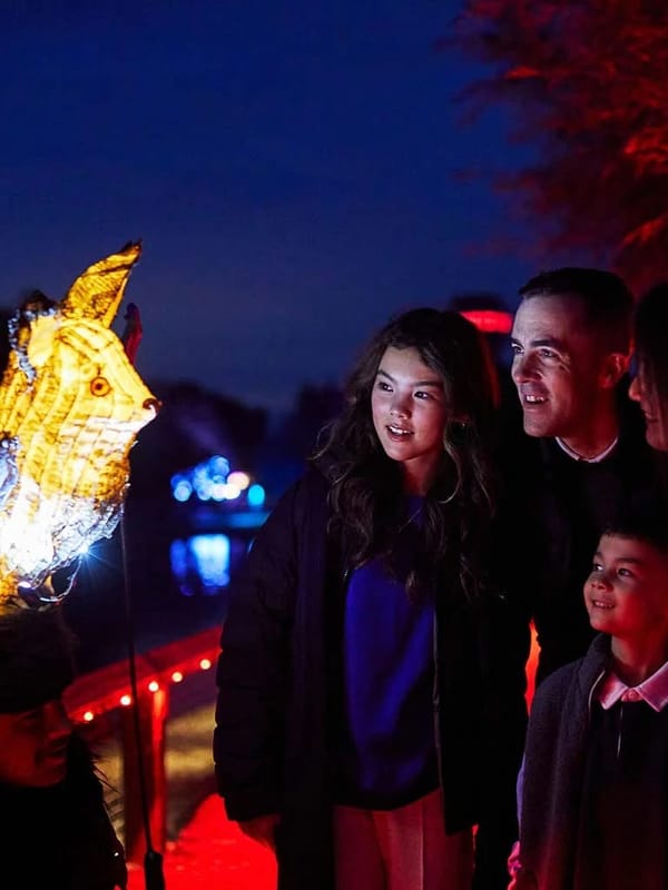 Mystical Marsh Lantern Experience