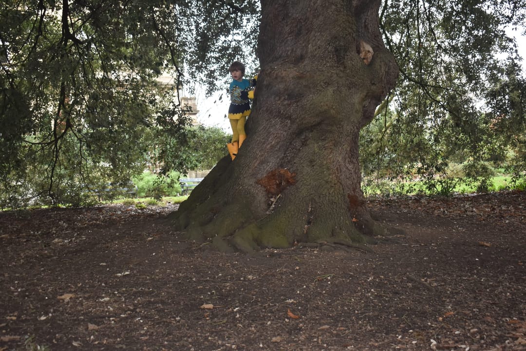 Hillfield Gardens - image 3