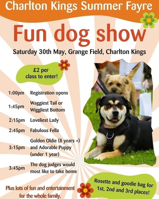 Charlton Kings Summer Fayre - image 3