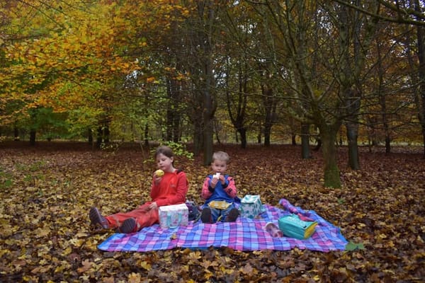 Barber Woods