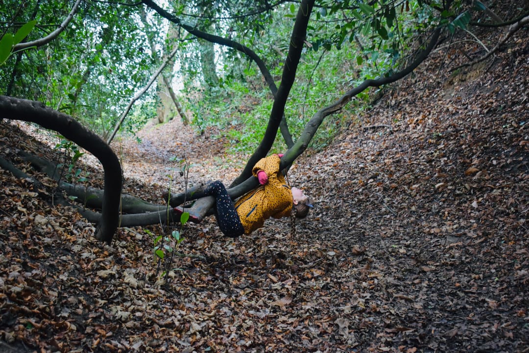 Nut Hill - image 1