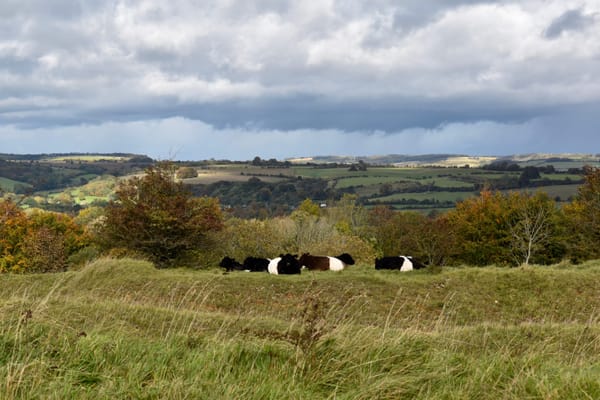 Kilkenny Nature Reserve