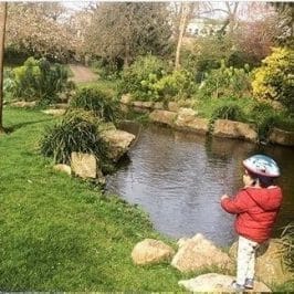 Sandford Park Secrets