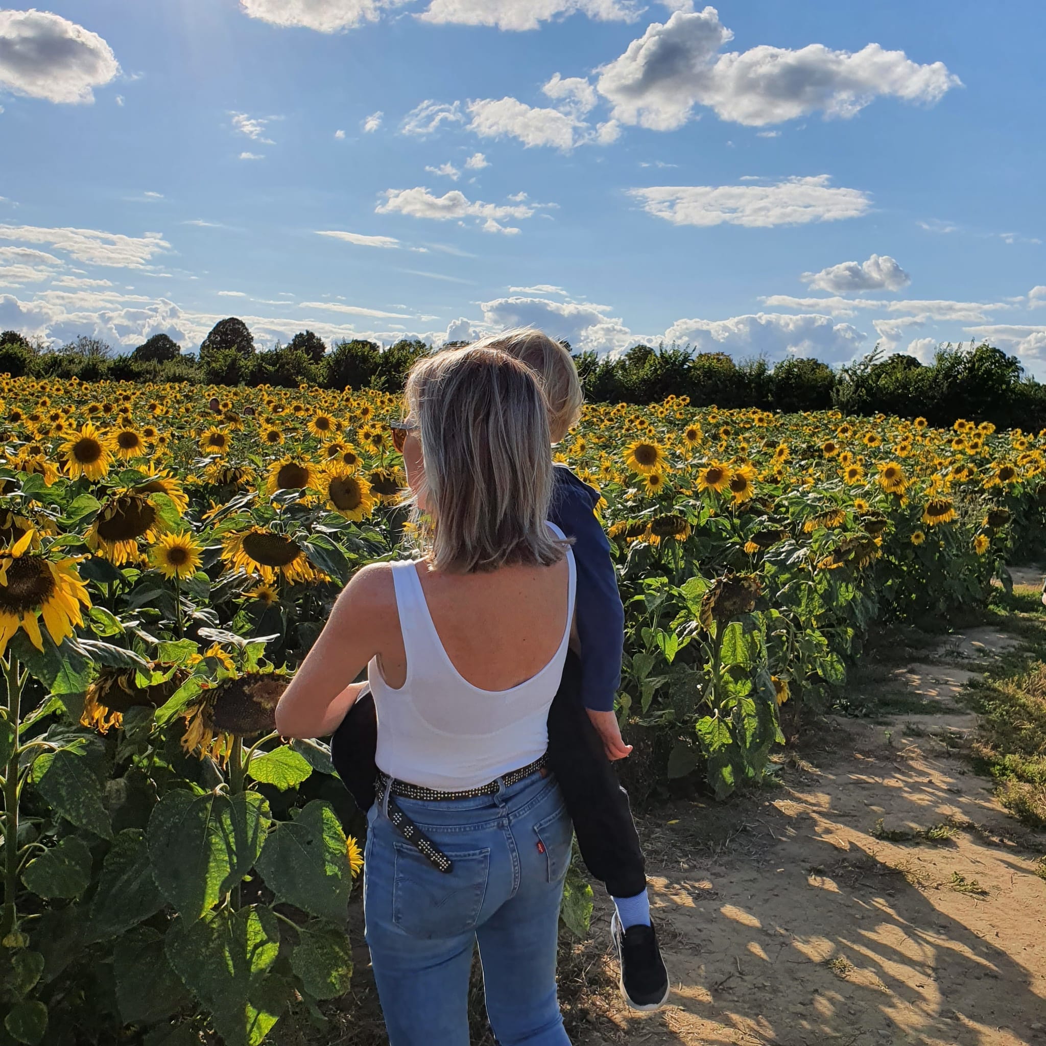Things to do in Cheltenham | 2026 Guide