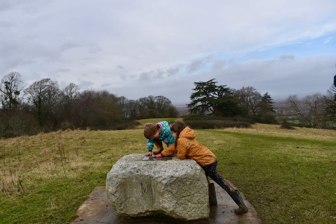 Nut Hill - image 2