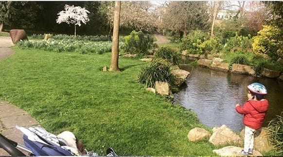 Sandford Park Secrets