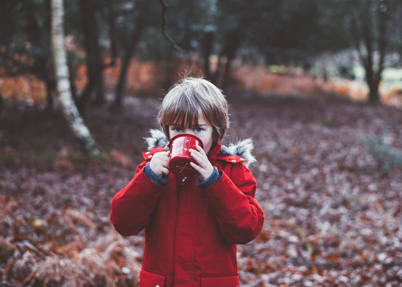 Post Christmas Events and Activities in Cheltenham