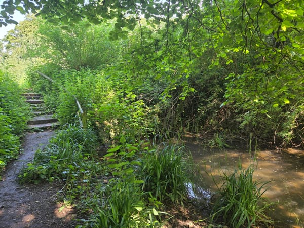 Pilley Bridge Nature Reserve