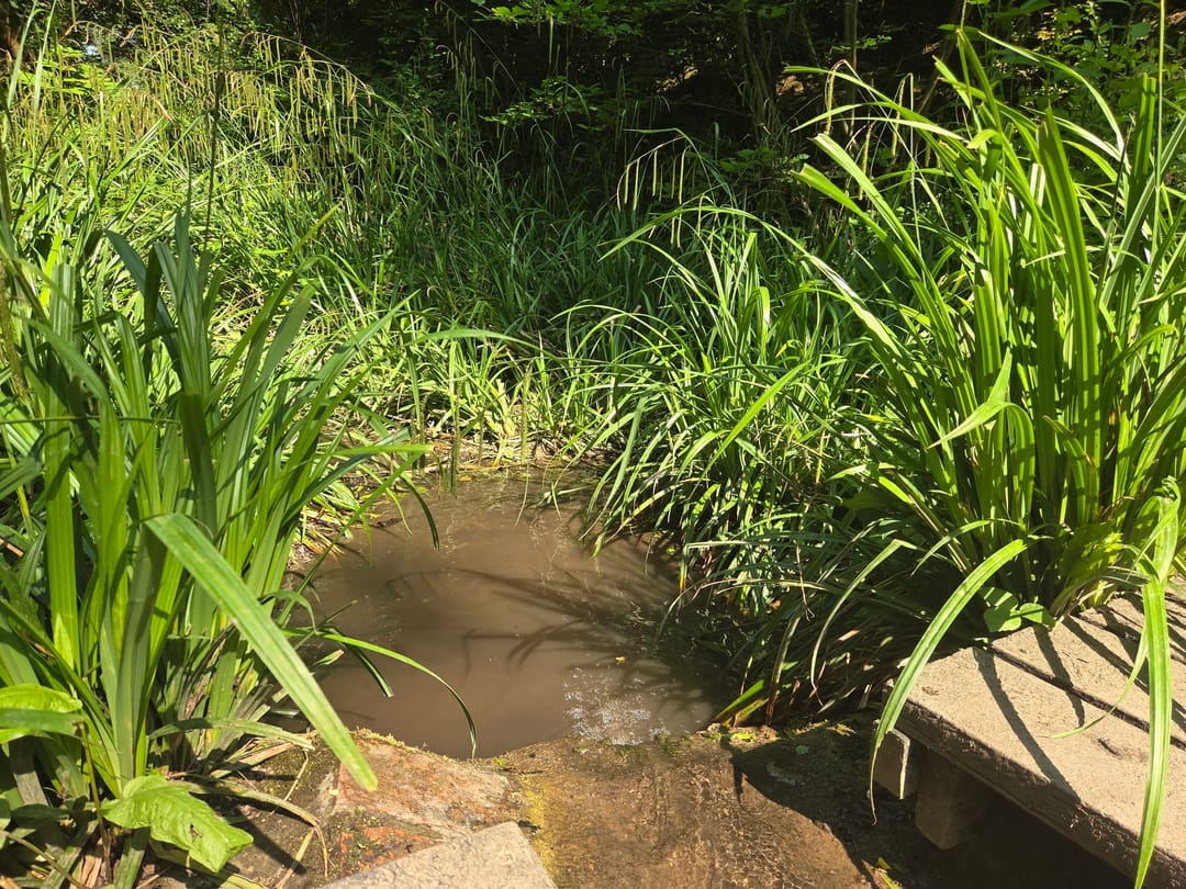 Pilley Bridge Nature Reserve - image 1