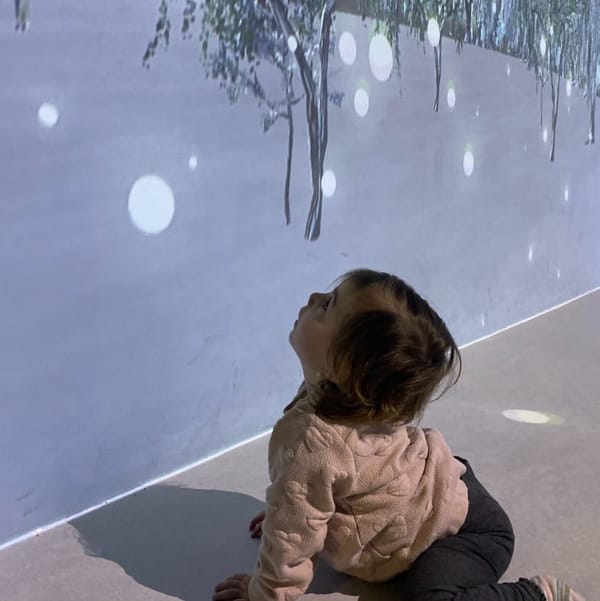 Oakley Library Immersive Room