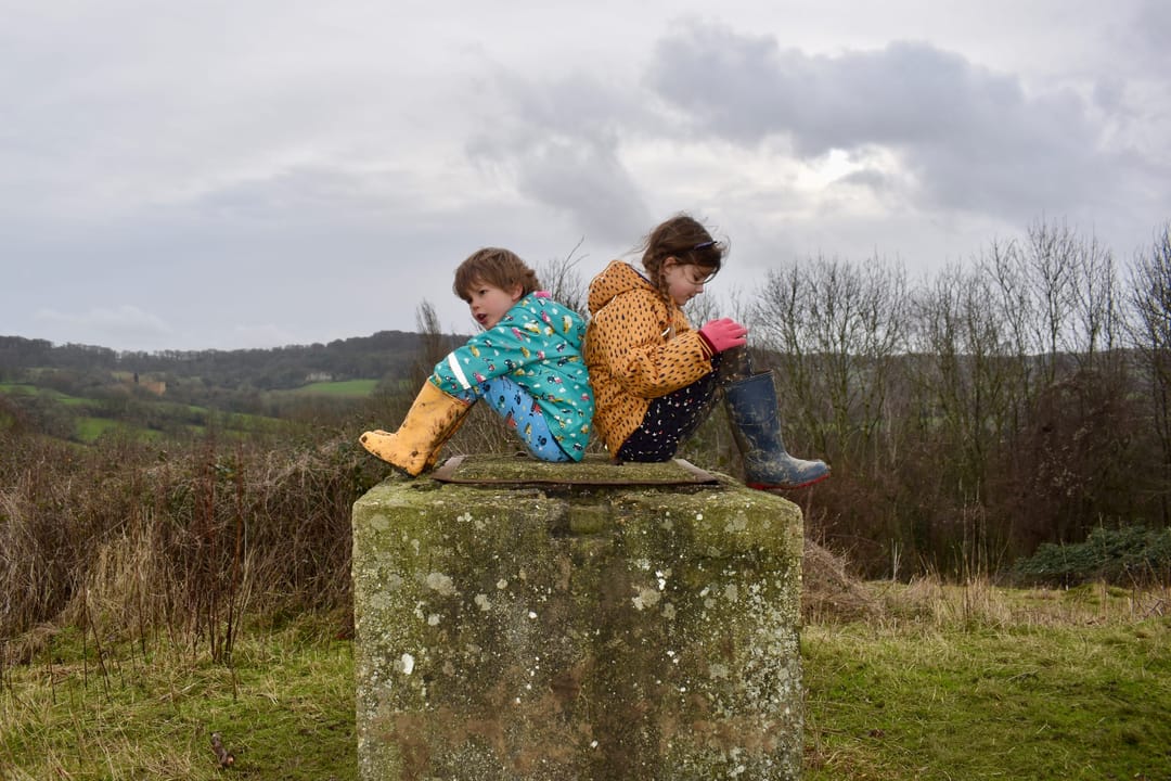 Nut Hill - image 1