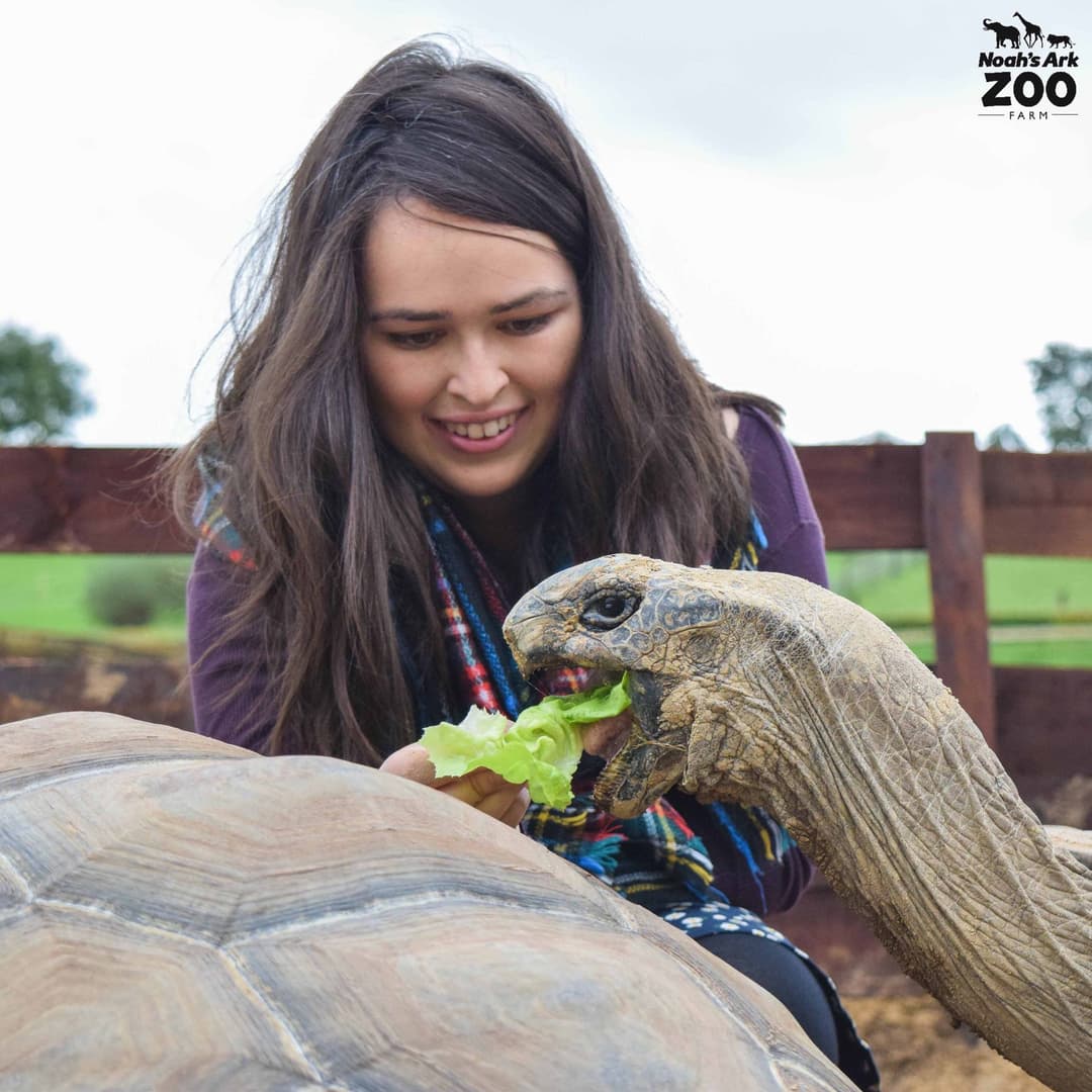 Noah's Ark Zoo Farm - image 1