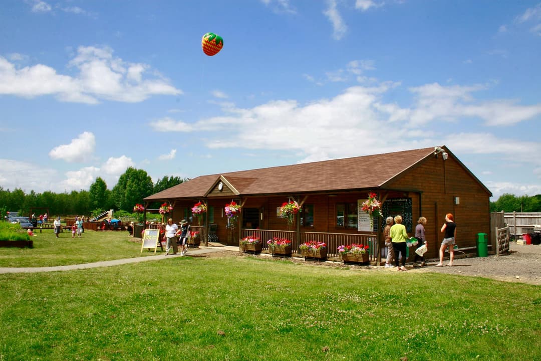 Easter Trail at Primrose Vale - image 1