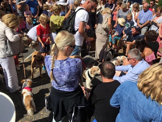 The Suffolks’ Sunday Markets - 2019 Dates