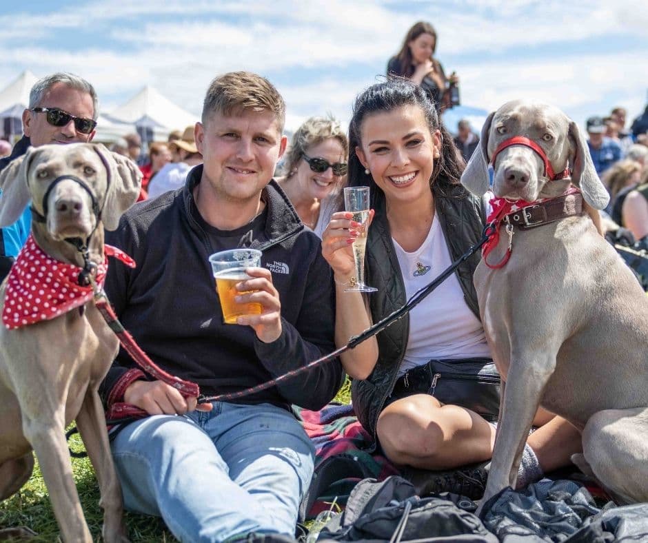 Dog Fest Cirencester - image 1
