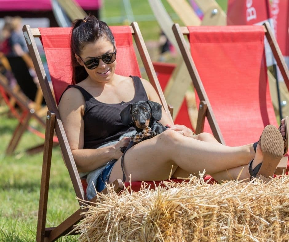 Dog Fest Cirencester - image 1