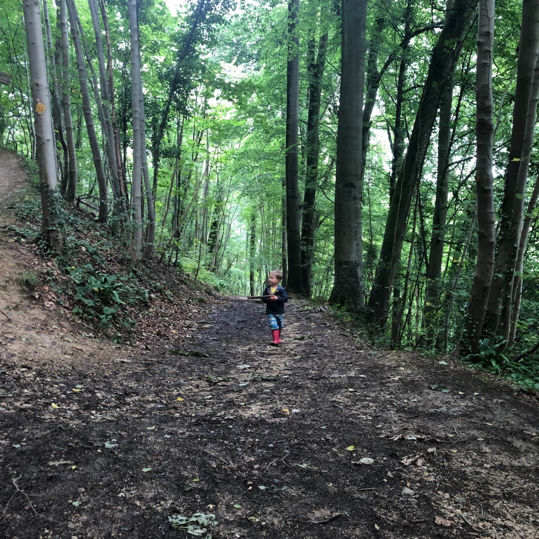 Great Witcombe Roman Villa - image 1