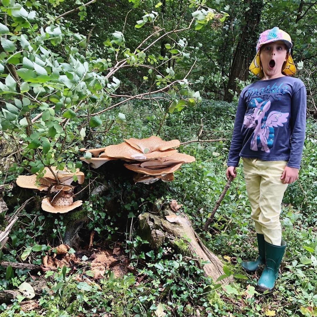 Great Witcombe Roman Villa - image 2