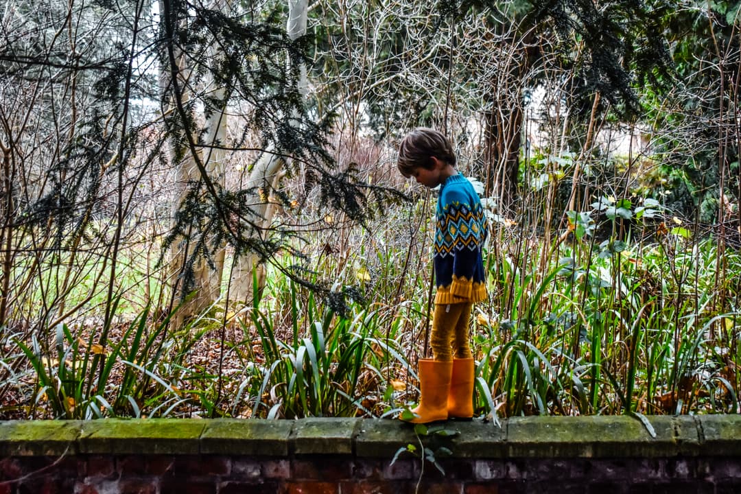 Hillfield Gardens - image 1