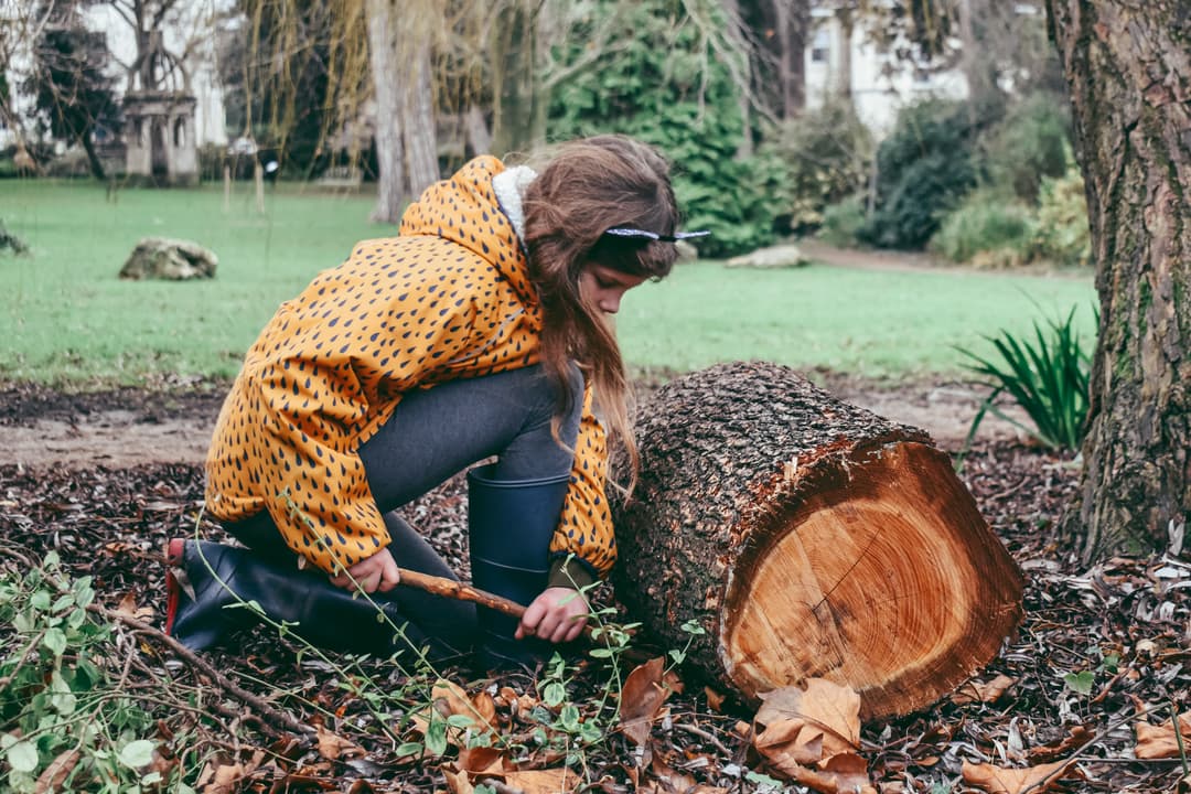 Hillfield Gardens - image 2