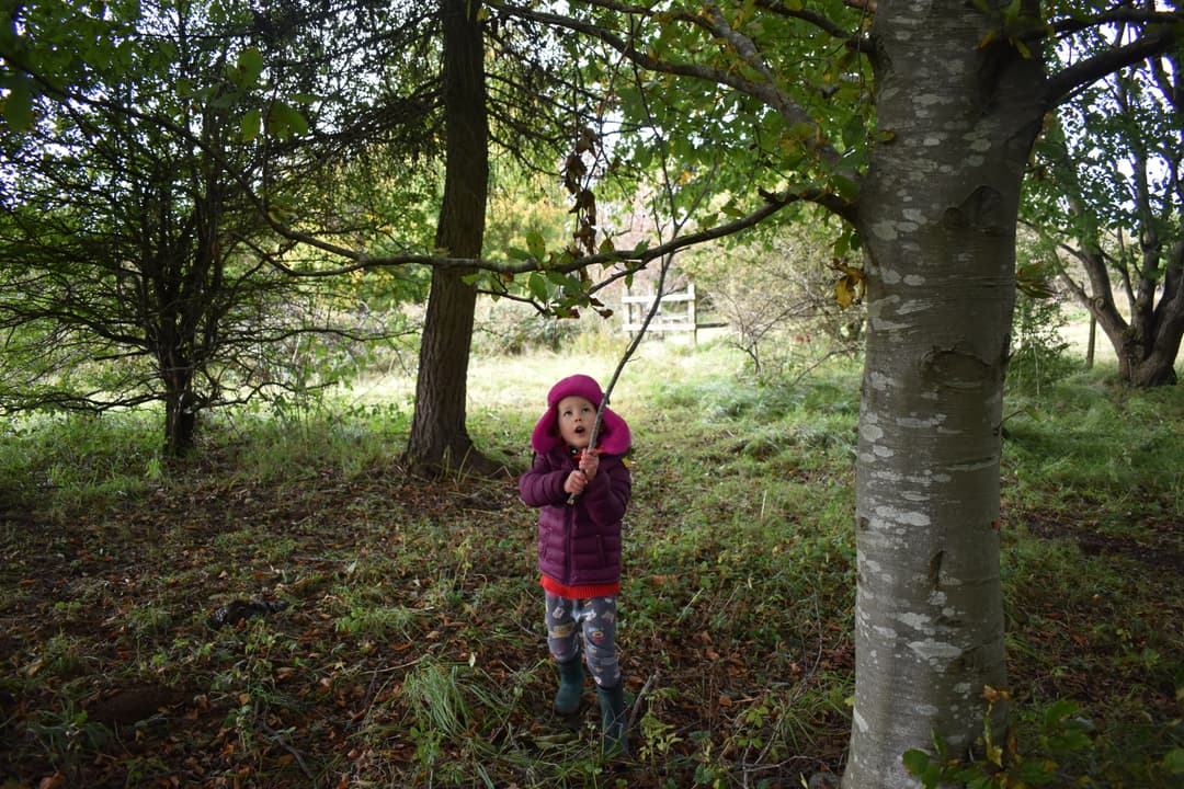 Kilkenny Nature Reserve - image 2