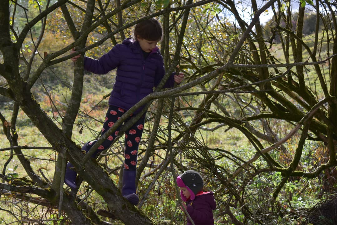 Kilkenny Nature Reserve - image 3