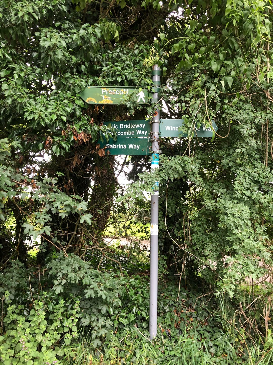 Wickfield Lane - image 1