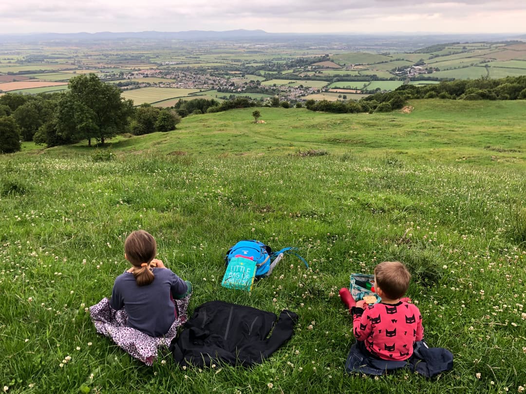 Wickfield Lane - image 1