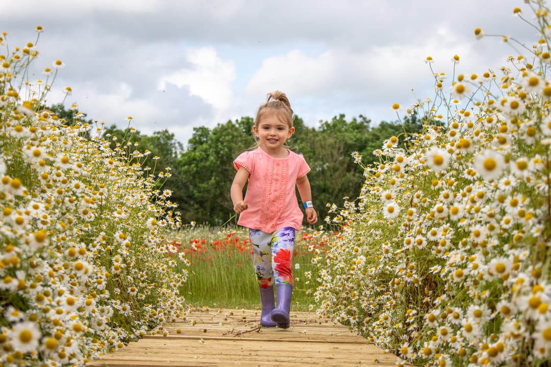 Flower Festival at Cotswold Farm Park - image 1