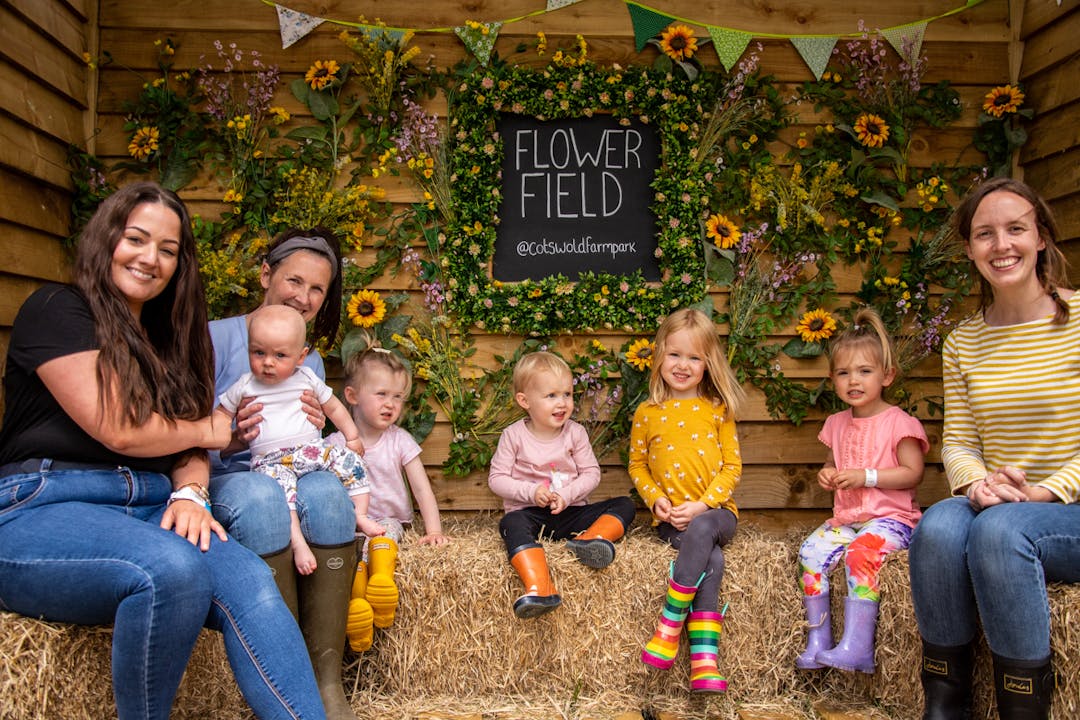 Flower Festival at Cotswold Farm Park - image 2
