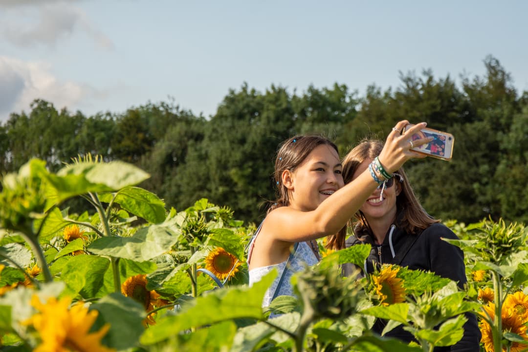 Flower Festival at Cotswold Farm Park - image 1