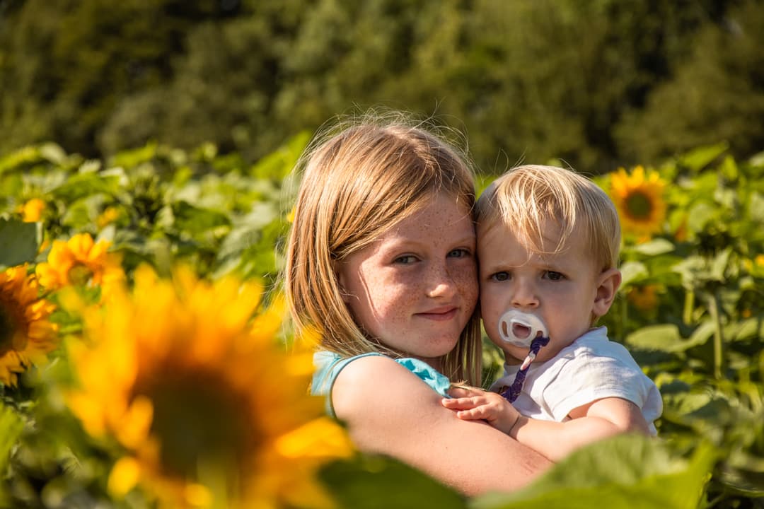 Flower Festival at Cotswold Farm Park - image 3