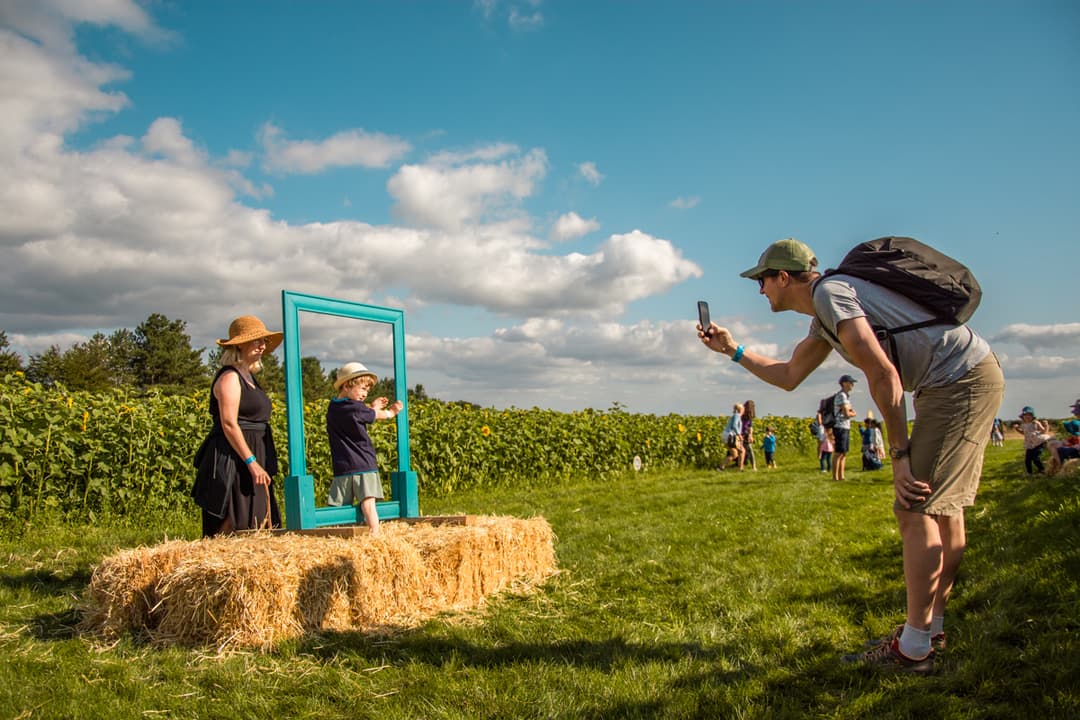 Flower Festival at Cotswold Farm Park - image 2