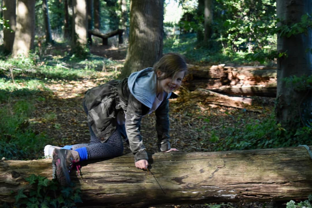 Frampton Lakes - image 1