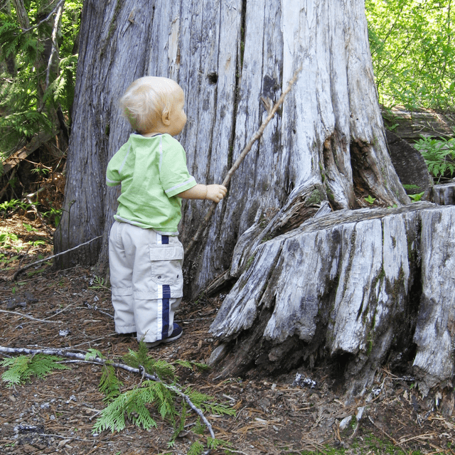 Go Outside Cleeve Common