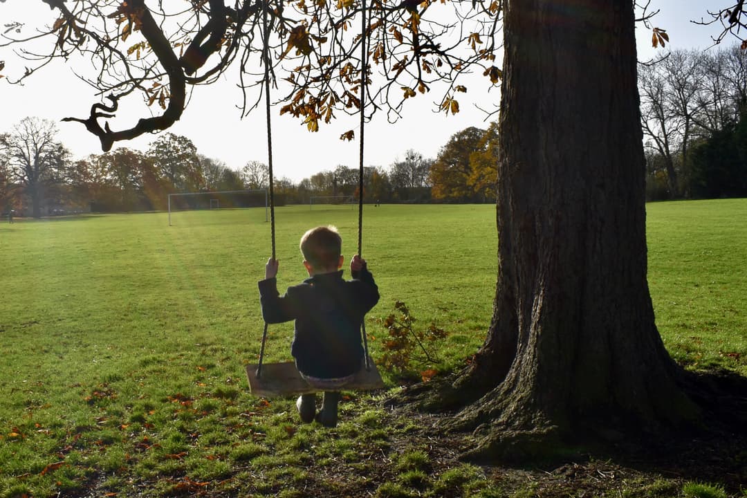 Swindon Village Park - image 1