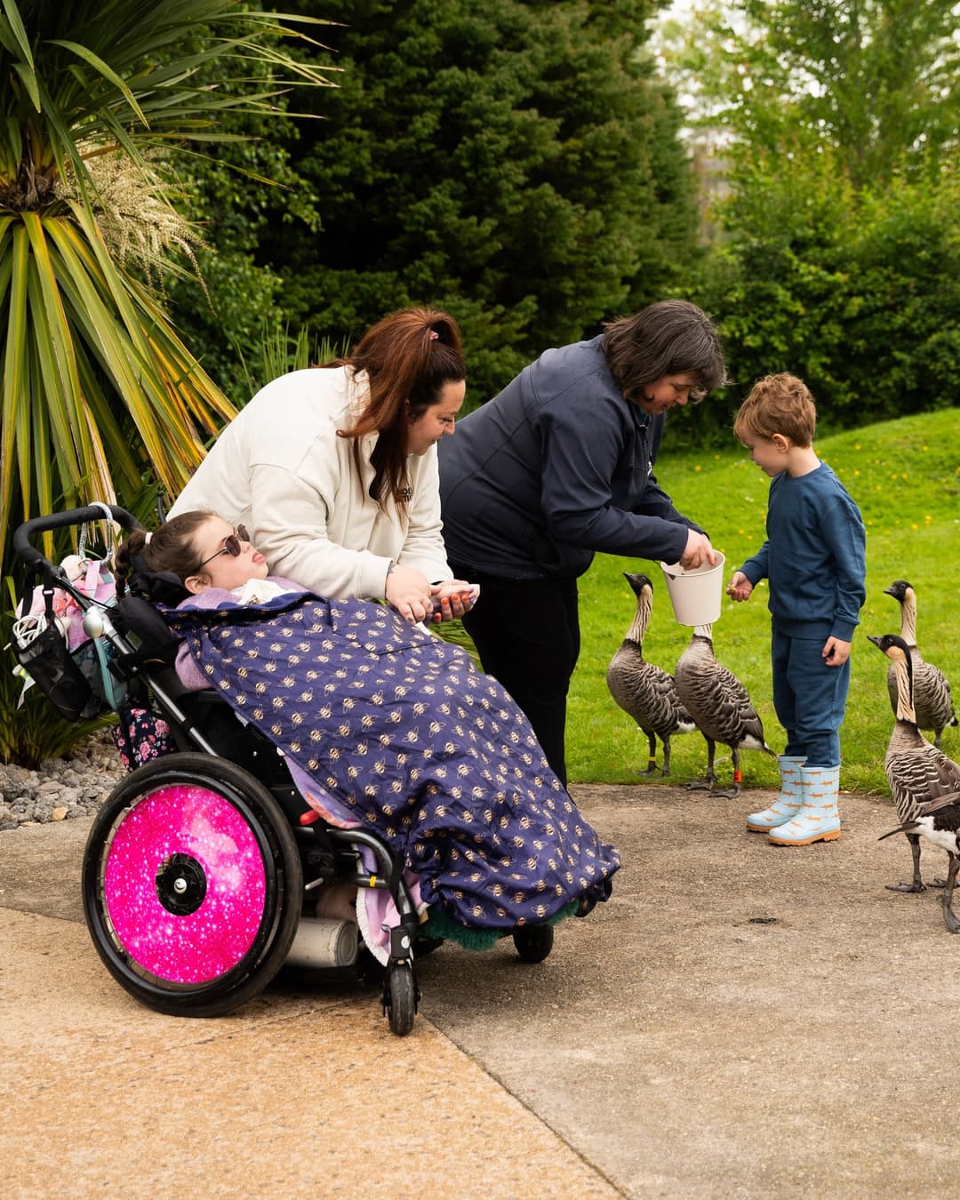 WWT Slimbridge Wetland Centre - image 1