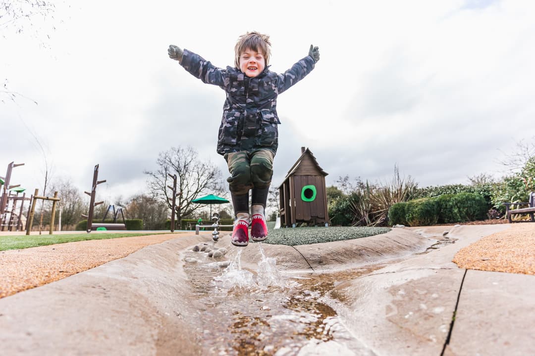 WWT Slimbridge Wetland Centre - image 1