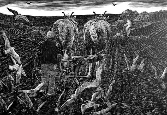 Art Courses at Nature in Art